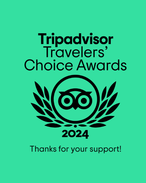 Tripadvisor Travelers' Choice Awards 2024 green badge