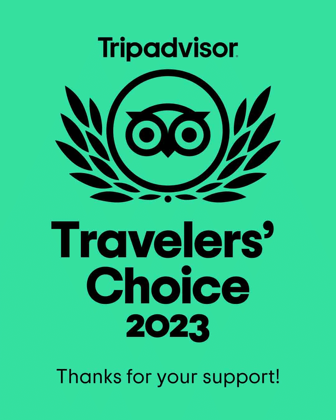 Tripadvisor Travelers' Choice 2023 green badge