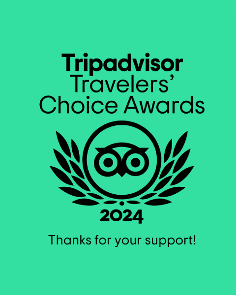 Tripadvisor Travelers' Choice Awards 2024 green badge